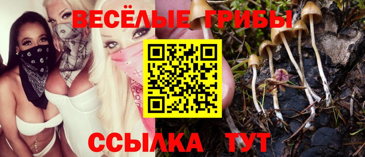 Конаково  дарнет шоп  Вход с VPN  Галлюциногенные грибы MAGIC MUSHROOMS  Галлюциногенные грибы Cubensis 